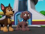 Paw Patrol, la Pat'Patrouille