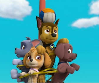 Paw Patrol, la Pat'Patrouille - La Pat'Patrouille aide un ami
