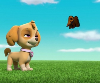 Paw Patrol, la Pat'Patrouille - Sauvetage Extrême : Les Tigres Blancs