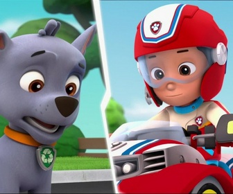Paw Patrol, la Pat'Patrouille - Le bébé dauphin