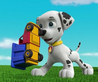 Paw Patrol, la Pat'Patrouille - La moustache de Monsieur Hellinger