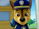 Paw Patrol, la Pat'Patrouille