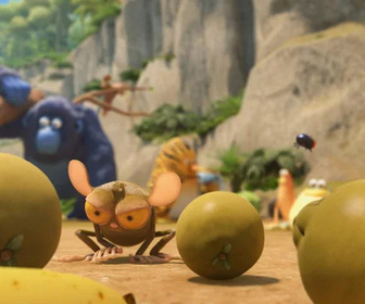 Les as de la jungle à la rescousse - 14/11/2025