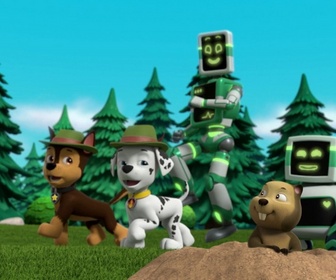 Paw Patrol, la Pat'Patrouille - La machine chercheuse d'or