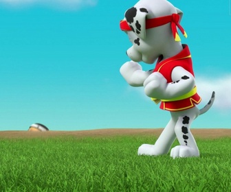 Paw Patrol, la Pat'Patrouille - Maître Yumi
