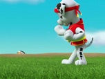 Paw Patrol, la Pat'Patrouille