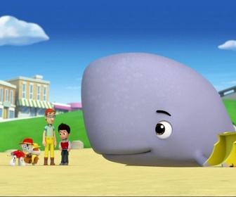 Paw Patrol, la Pat'Patrouille - La baleine échouée