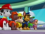 Paw Patrol, la Pat'Patrouille Paw Patrol, la Pat'Patrouille