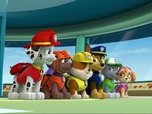 Paw Patrol, la Pat'Patrouille