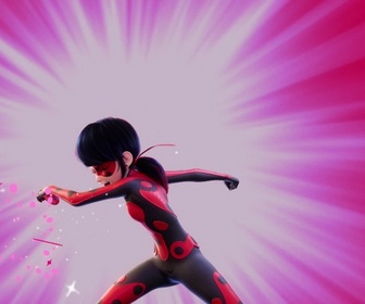 Miraculous - Les aventures de Ladybug et Chat Noir - Sublimation