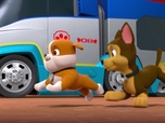 Paw Patrol, la Pat'Patrouille