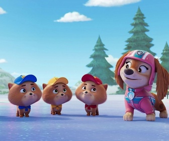 Paw Patrol, la Pat'Patrouille - Le Noël de la Patrouille Junior