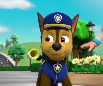 Paw Patrol, la Pat'Patrouille - Les corbeaux