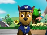 Paw Patrol, la Pat'Patrouille Paw Patrol, la Pat'Patrouille