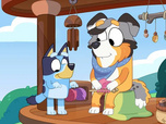 Bluey