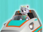 Paw Patrol, la Pat'Patrouille