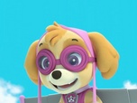 Paw Patrol, la Pat'Patrouille Paw Patrol, la Pat'Patrouille