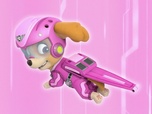 Paw Patrol, la Pat'Patrouille Paw Patrol, la Pat'Patrouille