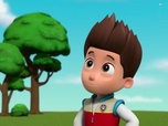 Paw Patrol, la Pat'Patrouille