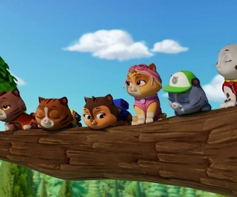 Paw Patrol, la Pat'Patrouille - Mission Pompiers : Les guim-o-choco de M. Hellinger