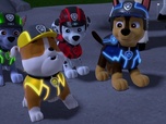 Paw Patrol, la Pat'Patrouille