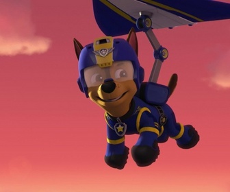 Paw Patrol, la Pat'Patrouille - La tarentule des cavernes