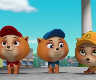 Compilation Paw Patrol, la Pat'Patrouille 36