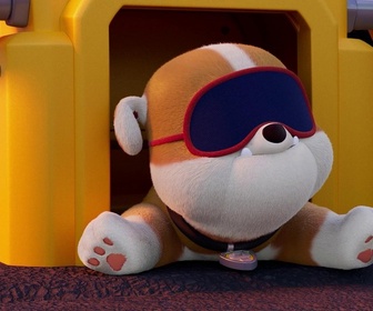 Paw Patrol, la Pat'Patrouille - Cours de yoga à la montagne