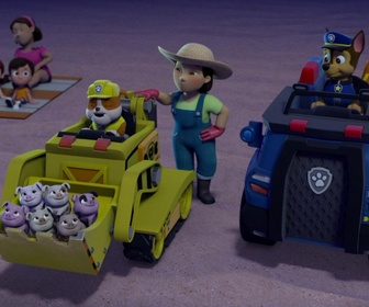 Paw Patrol, la Pat'Patrouille - S02 E30 - Le feu d'artifice