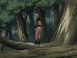 Naruto Shippuden Naruto Shippuden