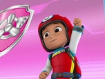 Paw Patrol, la Pat'Patrouille