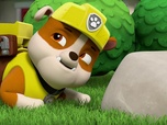 Paw Patrol, la Pat'Patrouille