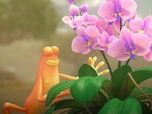 Les as de la jungle à la rescousse