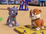 Paw Patrol, la Pat'Patrouille