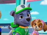 Paw Patrol, la Pat'Patrouille