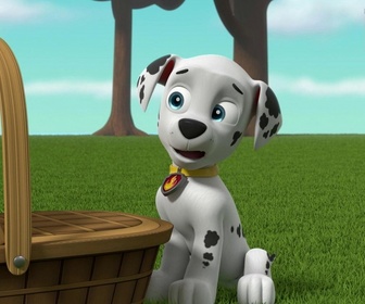 Paw Patrol, la Pat'Patrouille - La plus grosse omelette du monde