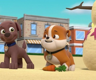 Paw Patrol, la Pat'Patrouille - Le requin cascadeur