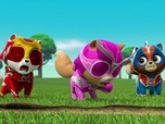 Paw Patrol, la Pat'Patrouille