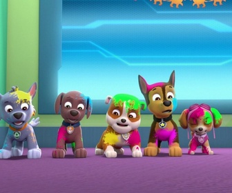 Paw Patrol, la Pat'Patrouille - La journée de l'Amitié - 22'