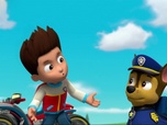 Paw Patrol, la Pat'Patrouille