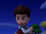 Paw Patrol, la Pat'Patrouille