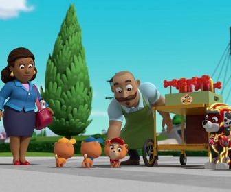 Paw Patrol, la Pat'Patrouille - La Super Patrouille : Le glaçon géant