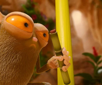 Les as de la jungle à la rescousse - 08/02/2026